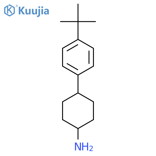 4-(4-Tert-butylphenyl)cyclohexan-1-amine structure
