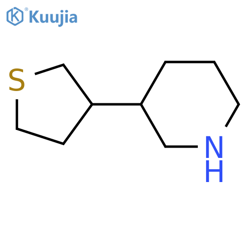 3-(thiolan-3-yl)piperidine structure