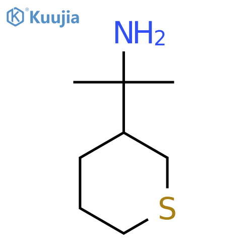 2-(Thian-3-yl)propan-2-amine structure