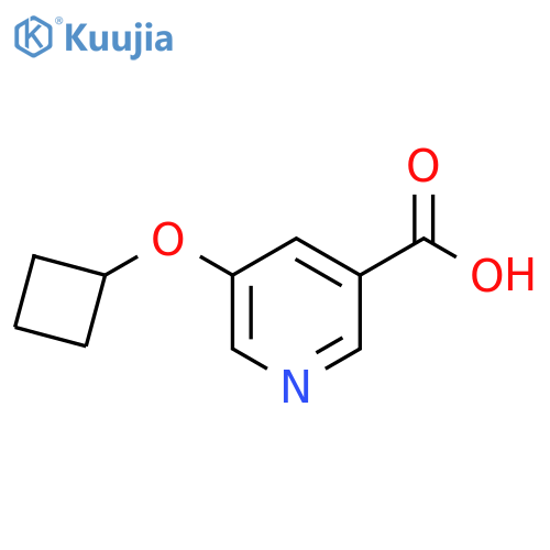5-Cyclobutoxypyridine-3-carboxylic acid structure