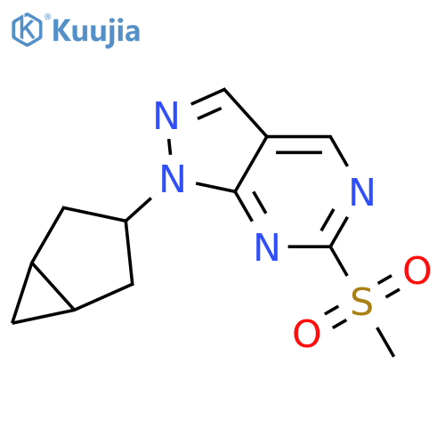 1-(bicyclo[3.1.0]hexan-3-yl)-6-(methylsulfonyl)-1H-pyrazolo[3,4-d]pyrimidine structure