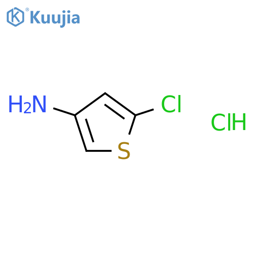 5-Chlorothiophen-3-amine hydrochloride structure
