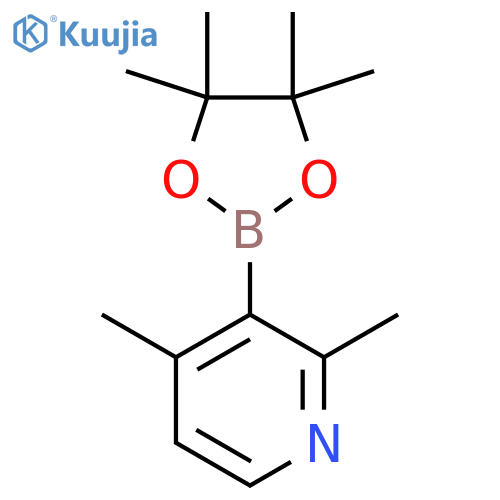 2,4-dimethyl-3-(tetramethyl-1,3,2-dioxaborolan-2-yl)pyridine structure