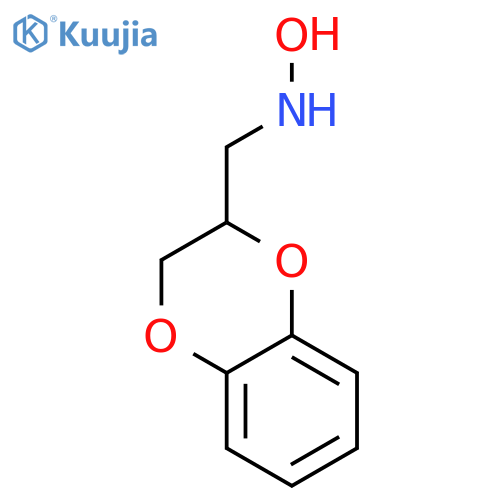 N-(2,3-dihydro-1,4-benzodioxin-2-yl)methylhydroxylamine structure