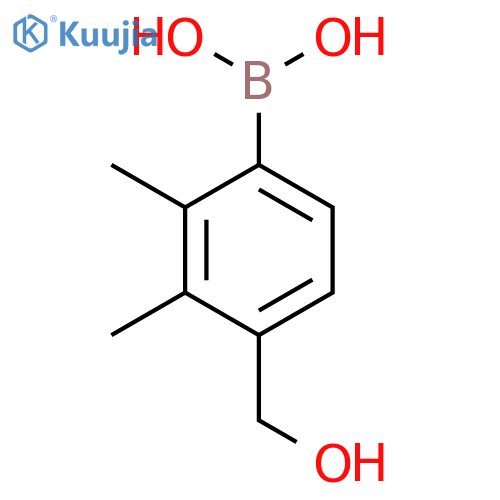 2,3-Dimethyl-4-hydroxymethylphenylboronic acid structure