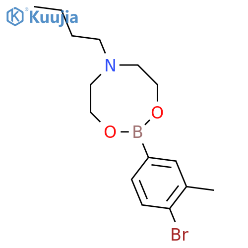 4-Bromo-3-methylphenylboronic acid N-butyldiethanolamine ester structure