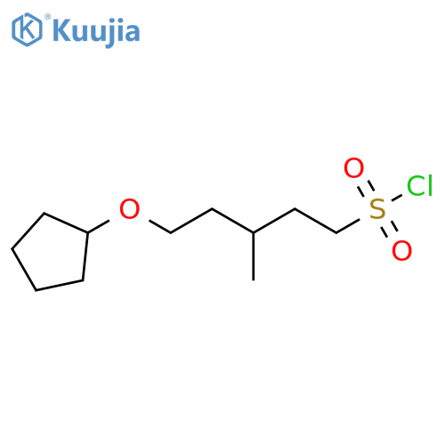5-(cyclopentyloxy)-3-methylpentane-1-sulfonyl chloride structure