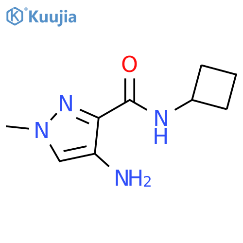 4-amino-N-cyclobutyl-1-methyl-1H-pyrazole-3-carboxamide structure