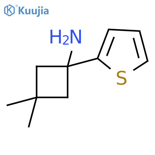 3,3-dimethyl-1-(thiophen-2-yl)cyclobutan-1-amine structure
