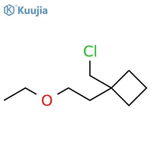 Cyclobutane, 1-(chloromethyl)-1-(2-ethoxyethyl)- structure