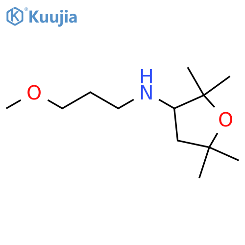 N-(3-methoxypropyl)-2,2,5,5-tetramethyloxolan-3-amine structure