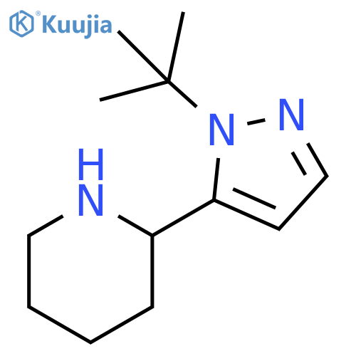 2-(2-tert-Butyl-2H-pyrazol-3-yl)-piperidine structure