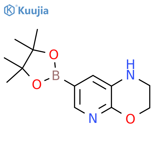 7-(4,4,5,5-tetramethyl-[1,3,2]dioxaborolan-2-yl)-2,3-dihydro-1H-pyrido[2,3-b][1,4]oxazine structure