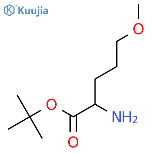 tert-butyl 2-amino-5-methoxypentanoate structure