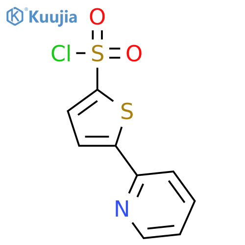 5-(2-PYRIDYL)THIOPHENE-2-SULFONYL CHLORIDE structure