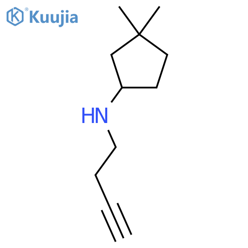 N-(but-3-yn-1-yl)-3,3-dimethylcyclopentan-1-amine structure