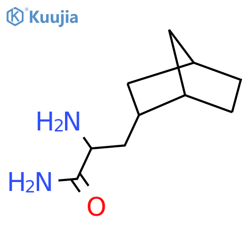 2-amino-3-{bicyclo2.2.1heptan-2-yl}propanamide structure
