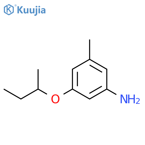 3-(butan-2-yloxy)-5-methylaniline structure