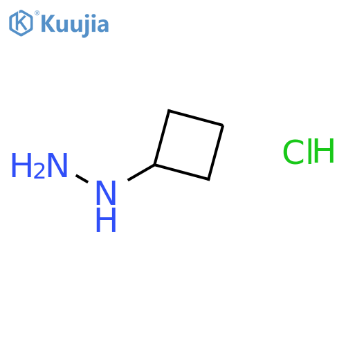 Cyclobutylhydrazine hydrochloride structure
