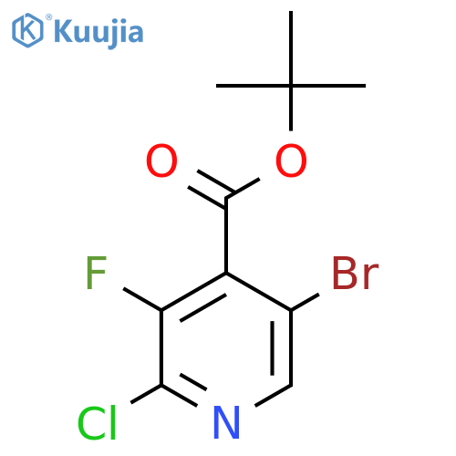 tert-butyl 5-bromo-2-chloro-3-fluoropyridine-4-carboxylate structure