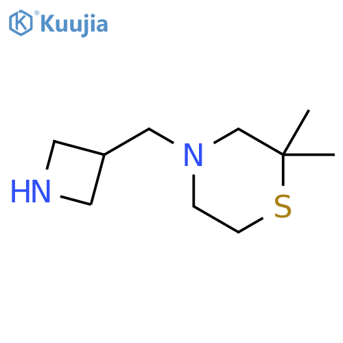 4-[(azetidin-3-yl)methyl]-2,2-dimethylthiomorpholine structure