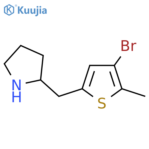 2-(4-bromo-5-methylthiophen-2-yl)methylpyrrolidine structure