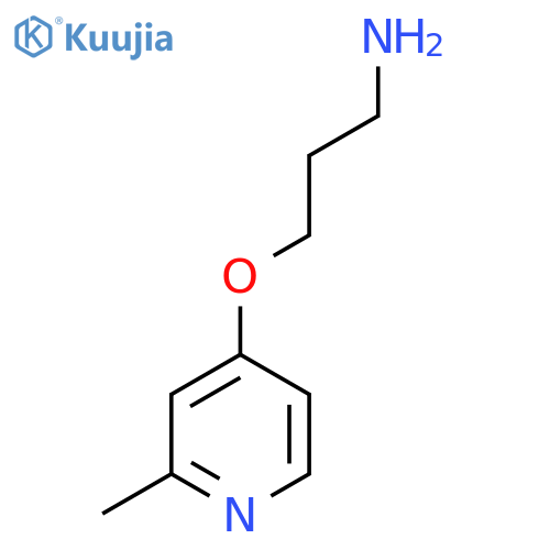 3-(2-methylpyridin-4-yl)oxypropan-1-amine structure