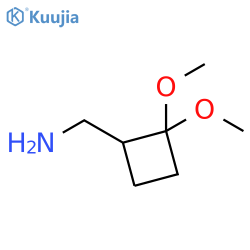 (2,2-dimethoxycyclobutyl)methanamine structure