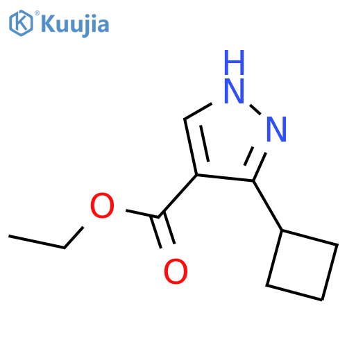 ethyl 3-cyclobutyl-1H-pyrazole-4-carboxylate structure