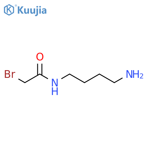 N-(4-aminobutyl)-2-bromoacetamide structure