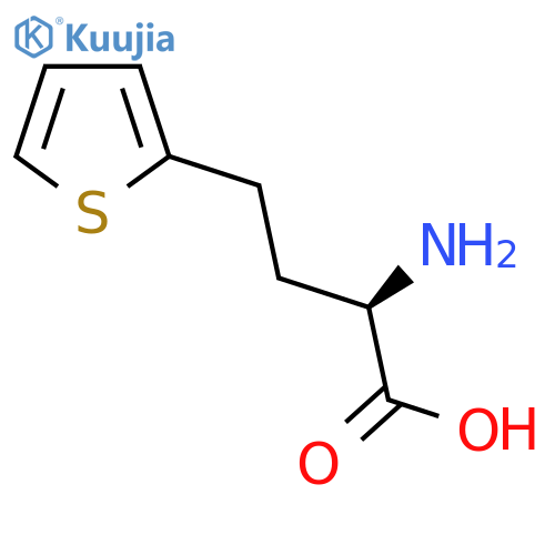 (2R)-2-amino-4-(thiophen-2-yl)butanoic acid structure