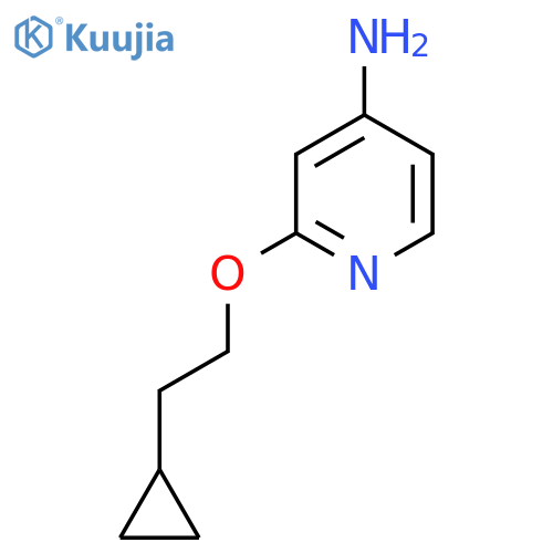 2-(2-cyclopropylethoxy)pyridin-4-amine structure