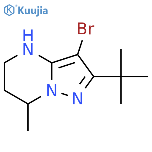 3-bromo-2-tert-butyl-7-methyl-4H,5H,6H,7H-pyrazolo1,5-apyrimidine structure
