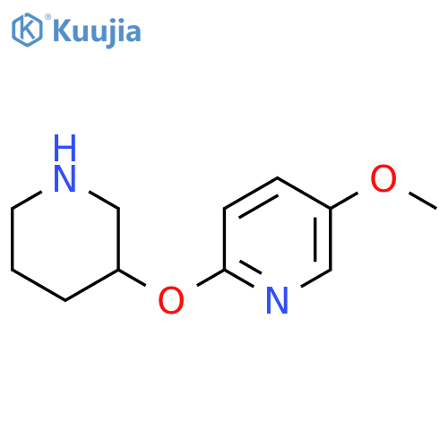5-methoxy-2-(piperidin-3-yloxy)pyridine structure