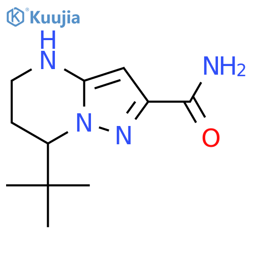 7-tert-butyl-4H,5H,6H,7H-pyrazolo1,5-apyrimidine-2-carboxamide structure