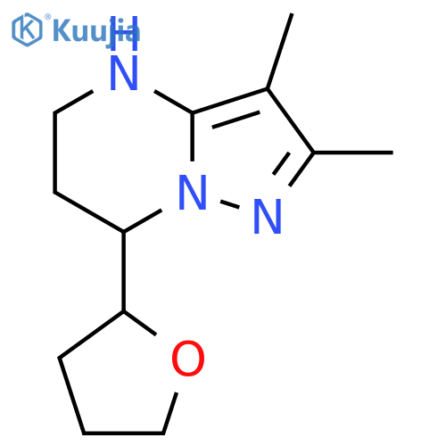 2,3-dimethyl-7-(oxolan-2-yl)-4H,5H,6H,7H-pyrazolo1,5-apyrimidine structure