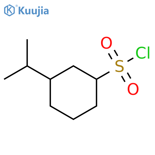 3-(propan-2-yl)cyclohexane-1-sulfonyl chloride structure