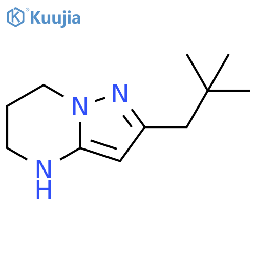 2-(2,2-dimethylpropyl)-4H,5H,6H,7H-pyrazolo1,5-apyrimidine structure