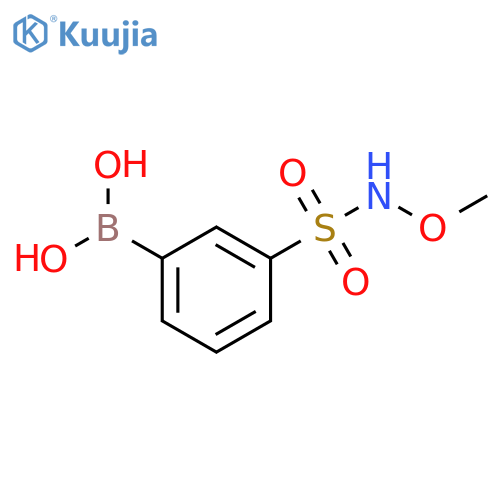 (3-(N-Methoxysulfamoyl)phenyl)boronic acid structure