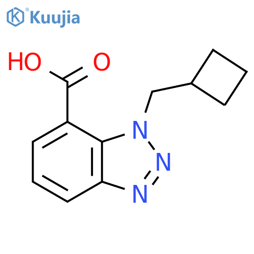 1-(cyclobutylmethyl)-1H-1,2,3-benzotriazole-7-carboxylic acid structure