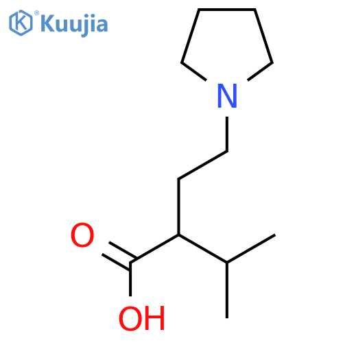 3-methyl-2-2-(pyrrolidin-1-yl)ethylbutanoic acid structure