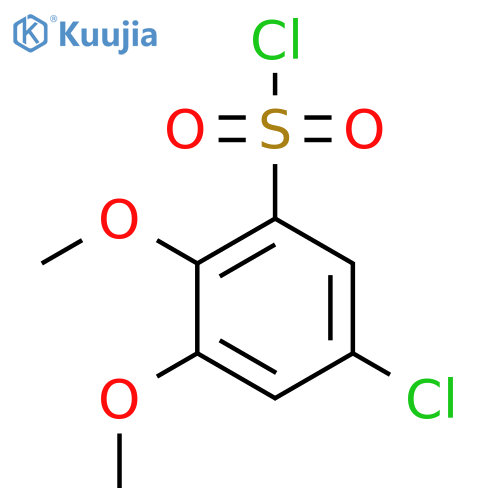 5-chloro-2,3-dimethoxybenzene-1-sulfonyl chloride structure