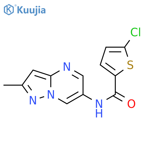 5-chloro-N-{2-methylpyrazolo[1,5-a]pyrimidin-6-yl}thiophene-2-carboxamide structure