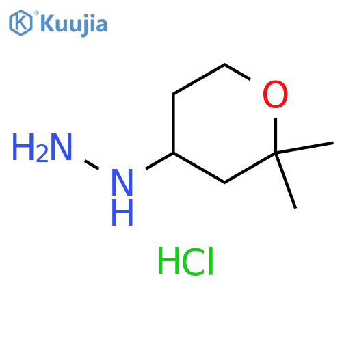 (2,2-dimethyloxan-4-yl)hydrazine hydrochloride structure