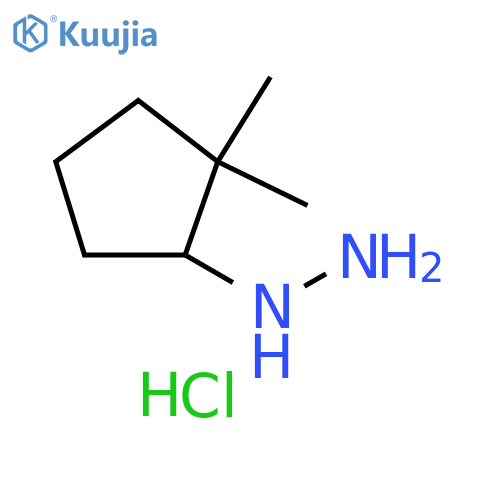 (2,2-dimethylcyclopentyl)hydrazine hydrochloride structure