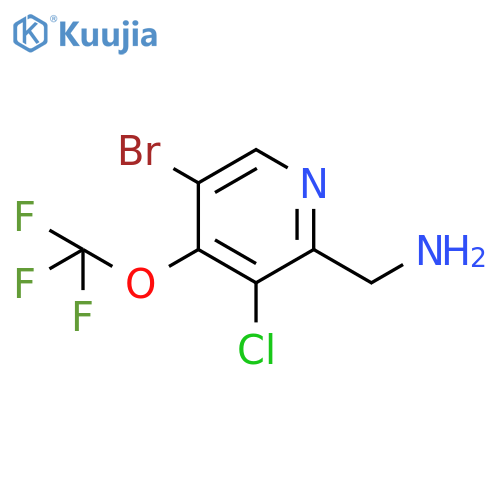2-(Aminomethyl)-5-bromo-3-chloro-4-(trifluoromethoxy)pyridine structure