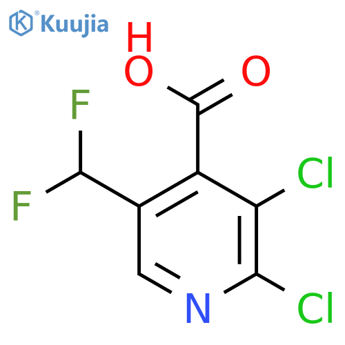 2,3-Dichloro-5-(difluoromethyl)pyridine-4-carboxylic acid structure