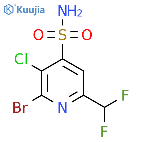 2-Bromo-3-chloro-6-(difluoromethyl)pyridine-4-sulfonamide structure
