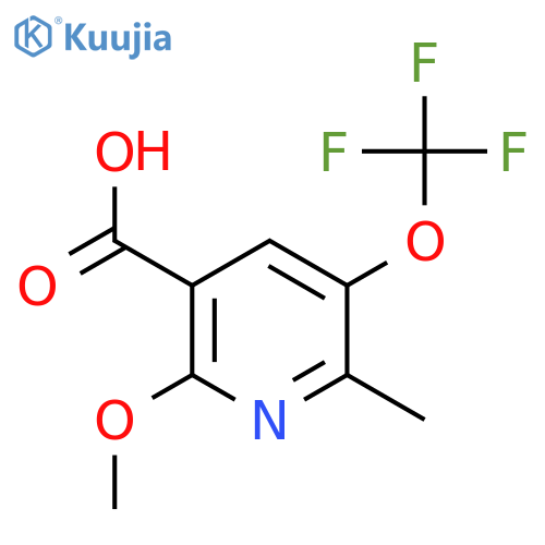 2-Methoxy-6-methyl-5-(trifluoromethoxy)pyridine-3-carboxylic acid structure