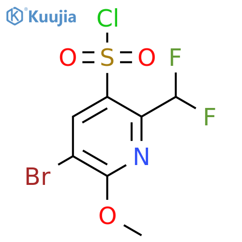 3-Bromo-6-(difluoromethyl)-2-methoxypyridine-5-sulfonyl chloride structure